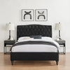 Rosa Black Velvet Bed Frame