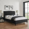 Rosa Black Velvet Bed Frame